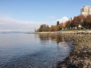 A shot from this morning's walk around the Vancouver Seawall.